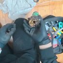 마장로220번길 | 윗집천장 누수, 이젠 걱정 끝 뵈다