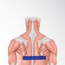 머신휘트니스 이미지