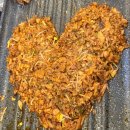 밥이랑술이랑 이미지