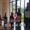 프랑스 보르도 와이너리 투어 선택하기 한국인가이드 후기