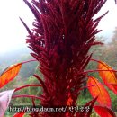 한민농장 이미지