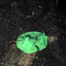 감성디테일링 | 경기도 광명 자동차 코나 전기차 출장 실내세차｜디테일링 실내크리닝 출장 후기