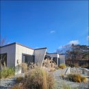 수수다올 이미지