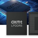 中 ‘AI 굴기’ 발목 잡는 HBM 수급난… CXMT, 대규모 설비 투자 재개 이미지