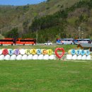 월드컵목장 이미지