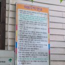 영월천문대 캠핑장 | 영월가족수영장캠핑장 조용하고 여름 키즈캠핑 강원영월오토캠핑장후기 영원천문대캠핑장