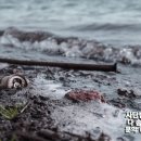 사단법인 다솜복지회 다솜환경사업단