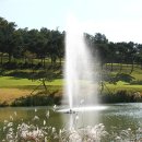 (주)캐슬렉스제주 이미지