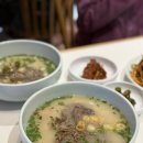 동곡공원 | 대구 동성로 점심 맛집 시내 밥집 동곡제면