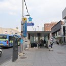 골든플라워 네이버블로그