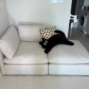 스튜디오 눕 이미지