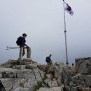 참새미골 이미지