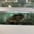 동광회센타 이미지