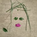 은곡유치원 이미지