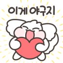 샤인스테이 이미지