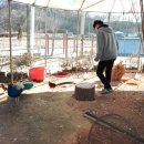 종호농장 이미지