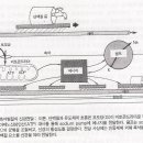 수근관증후군(Carpal Tunnel Syndrome) 1. 이미지