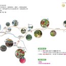 팔공산왕건길 4코스 이미지