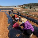 사랑의농장 이미지