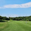 테디밸리CC 이미지