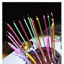 레드하우스민박 | [34Th] 용대자연휴양림~황딸 생일축하해~ 2012.8.17~19