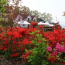 한울다솜 이미지