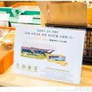 임실삼삼오오청춘햇살협동조합 | [임실 카페] 너른 언덕 정원에서 맛있는 겉바속촉 토굴빵을~ 임실창고1964 🟢