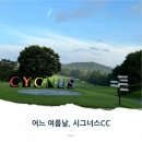 시그너스클럽하우스 | 7월 어느 여름날, 시그너스cc 라운딩 후기
