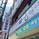 봉평옹심이메밀국수 티스토리