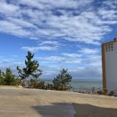 강구식자재마트 앞 이미지