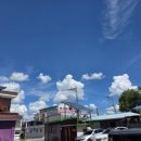 별이반점 이미지