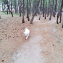 썬비치민박 이미지