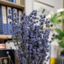 강릉동양한의원 이미지