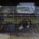 포산동물병원 이미지