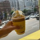 집에서도 간단히 반려견 미용 이미지