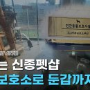 J.K 펫샵 이미지