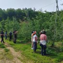 진안읍사무소 이미지