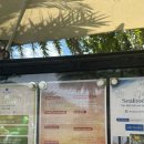 이브닝 스트레칭 요가 이미지