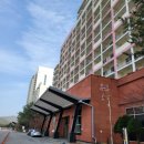 푸바오애견 이미지