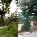 신덕마을 이미지