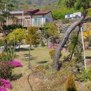 포시즌펜션 이미지