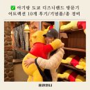 인버즈디자인주식회사 | 아기랑 도쿄 디즈니랜드 어트랙션 10개 탄 후기/퍼레이드&amp;뮤지컬/ 기념품&amp;식당 후기/ 3인 총경비 공유!