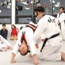 수창태극태권도장 이미지