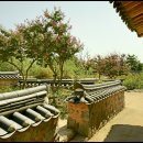 꽃과 한옥 이미지