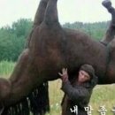 선상활어회 이미지