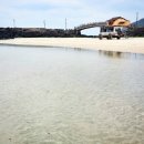 제주풍경스케치 이미지