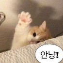 거령(주) | 1년후 근황♡