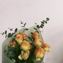 까페언니 이미지