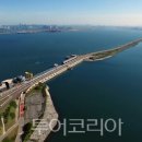 우리가축 인공수정 이미지