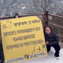 맛있개도 냥냥 이미지